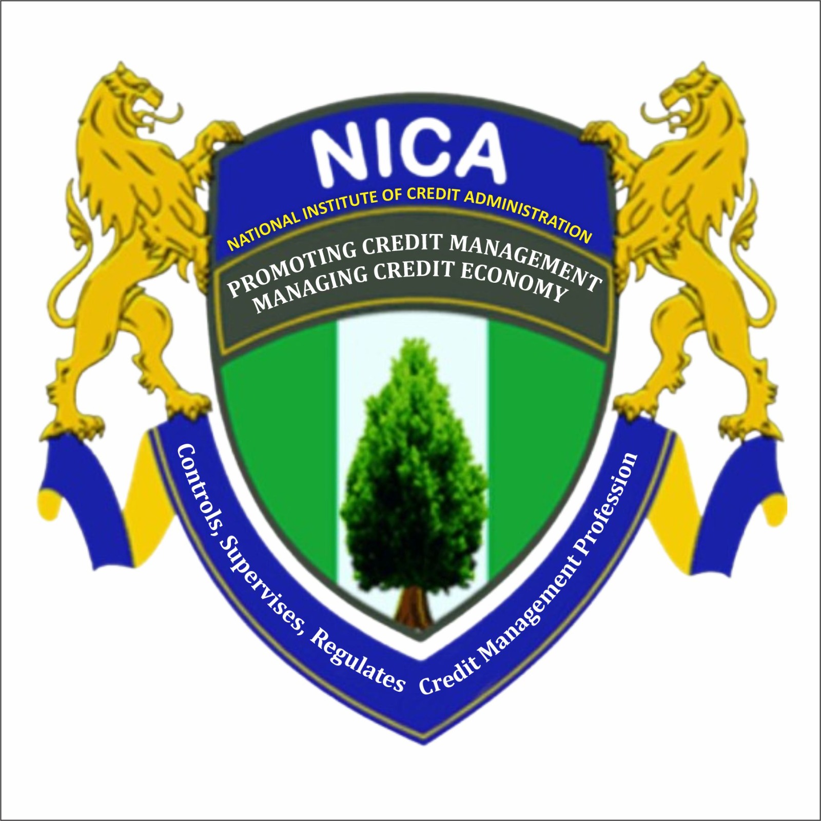 NICA